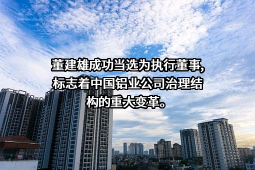 中国铝业股份有限公司