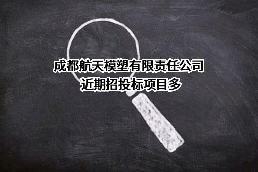 成都航天模塑有限责任公司