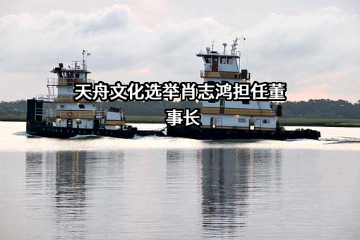 天舟文化股份有限公司
