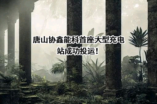协鑫能源科技股份有限公司