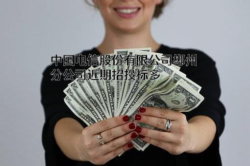 中国电信股份有限公司郴州分公司