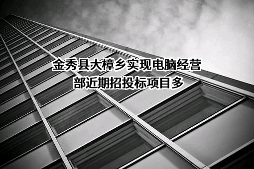 金秀县大樟乡实现电脑经营部