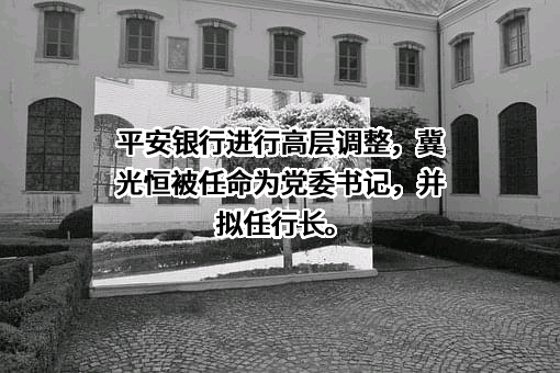 平安银行股份有限公司