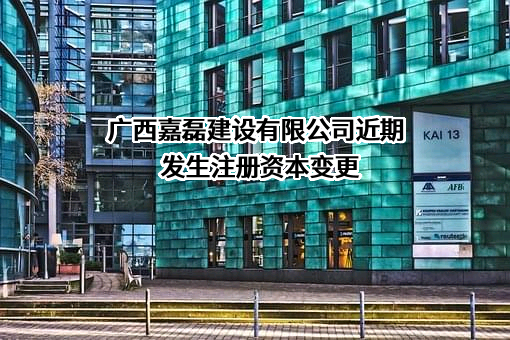 广西嘉磊建设有限公司