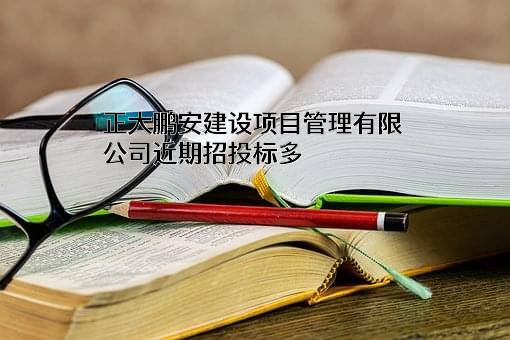 正大鹏安建设项目管理有限公司
