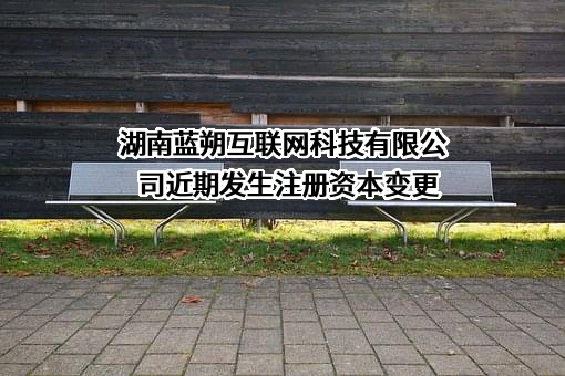 湖南蓝朔互联网科技有限公司