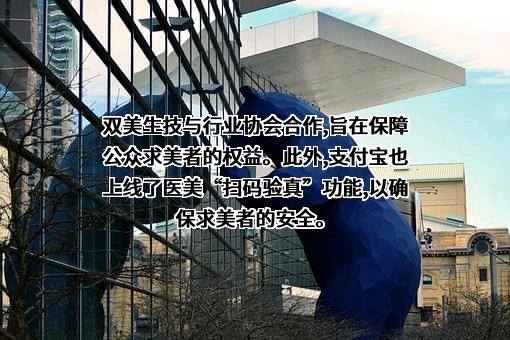 支付宝（中国）网络技术有限公司