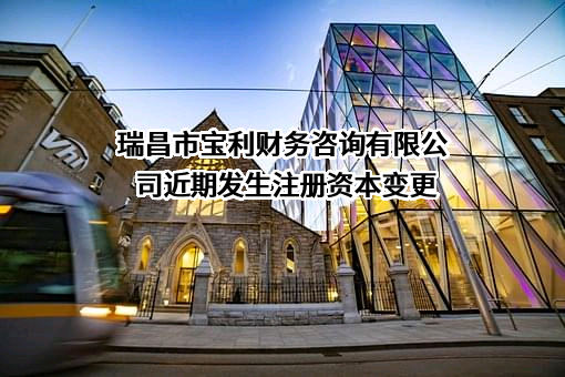 瑞昌市宝利财务咨询有限公司