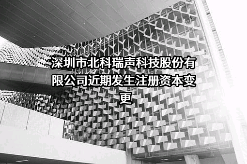 深圳市北科瑞声科技股份有限公司