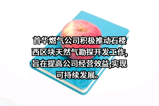 首华燃气科技（上海）股份有限公司