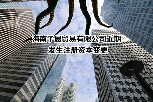 海南子晨贸易有限公司