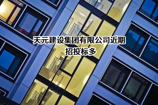 天元建设集团有限公司