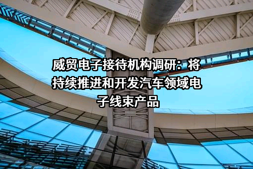 上海威贸电子股份有限公司