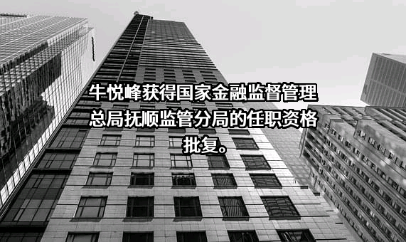 抚顺望花抚银村镇银行股份有限公司