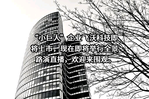 湖南飞沃新能源科技股份有限公司