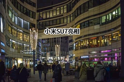 小米科技有限责任公司