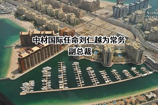 中国中材国际工程股份有限公司
