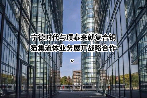 上海璞泰来新能源科技股份有限公司