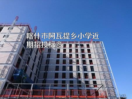 喀什市阿瓦提乡小学