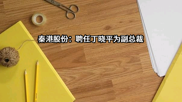 秦港股份：聘任丁晓平为副总裁