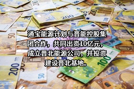 山西通宝能源股份有限公司