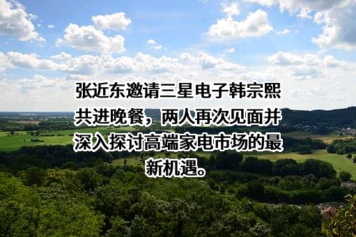 三星（中国）投资有限公司