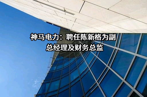 江苏神马电力股份有限公司