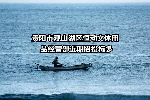贵阳市观山湖区恒动文体用品经营部