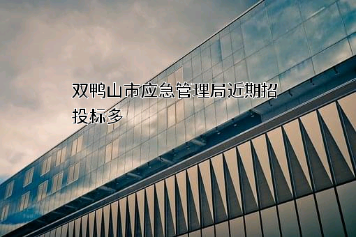 双鸭山市应急管理局近期招投标项目多