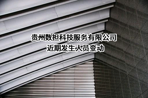 贵州数担科技服务有限公司