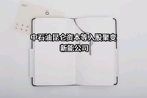 聚变新能（安徽）有限公司