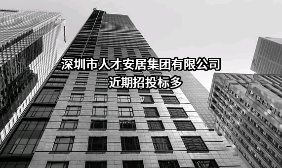 深圳市人才安居集团有限公司