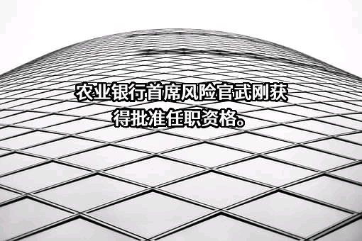 中国农业银行股份有限公司