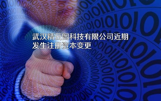 武汉精云图科技有限公司