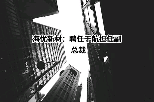 海优新材：聘任于航担任副总裁