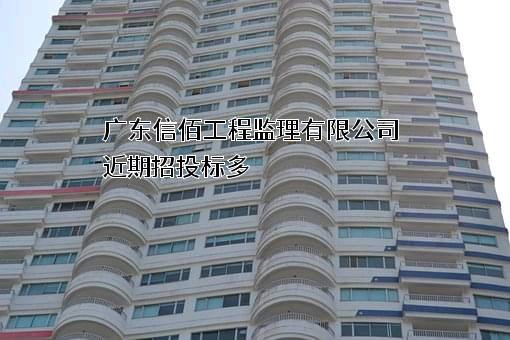 广东信佰工程监理有限公司