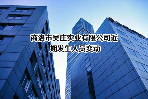 商洛市吴庄实业有限公司