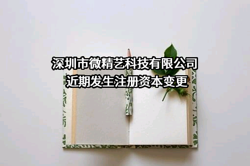 深圳市微精艺科技有限公司