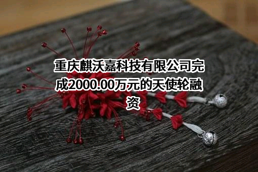 重庆麒沃嘉科技有限公司