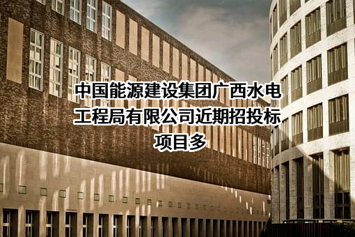 中国能源建设集团广西水电工程局有限公司