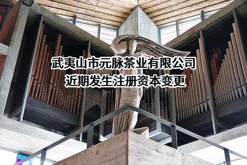 武夷山市元脉茶业有限公司
