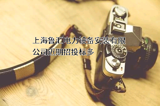 上海鲁汇电力设备安装有限公司
