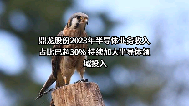 湖北鼎龙控股股份有限公司