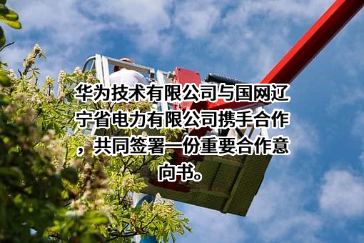 国网辽宁省电力有限公司