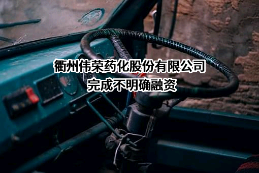 衢州伟荣药化股份有限公司