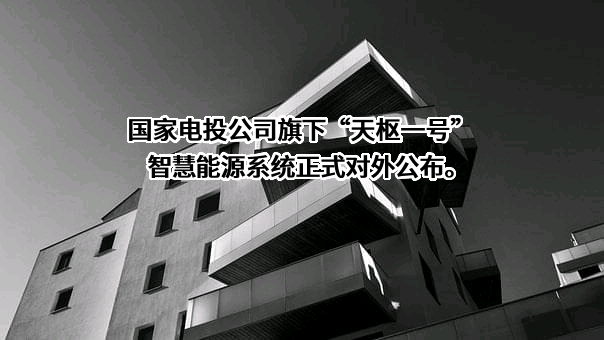 国家电力投资集团有限公司