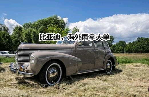 比亚迪股份有限公司