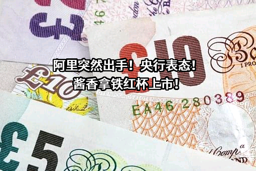 四川电力设计咨询有限责任公司