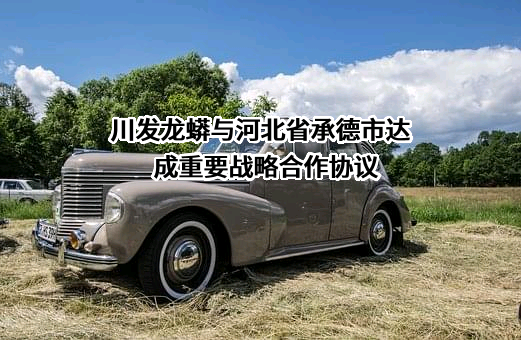 四川发展龙蟒股份有限公司