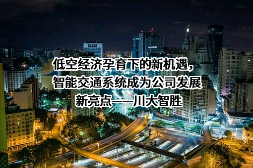 四川川大智胜软件股份有限公司